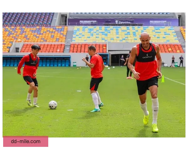 亚冠精英联赛山东队征战赛场全景解析与未来展望