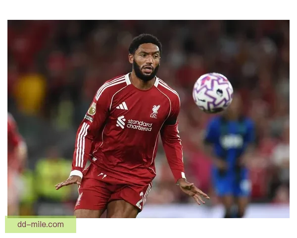 利物浦签下葡萄牙新星开启夏季转会新篇章势力加强